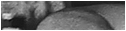lps_06