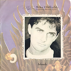 single_islands_can_vs1409_cover