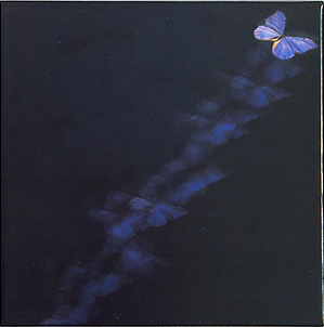 box_platinum_pr_disk_union_backcover